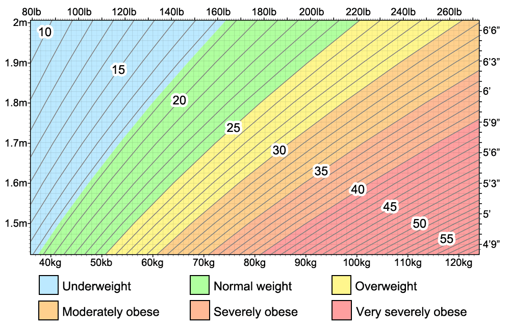 BMI Chart for Adults